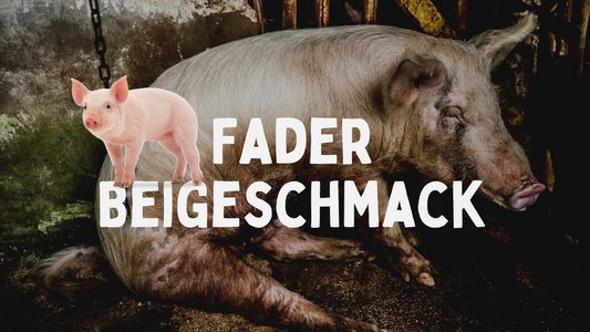 Fader Beigeschmack